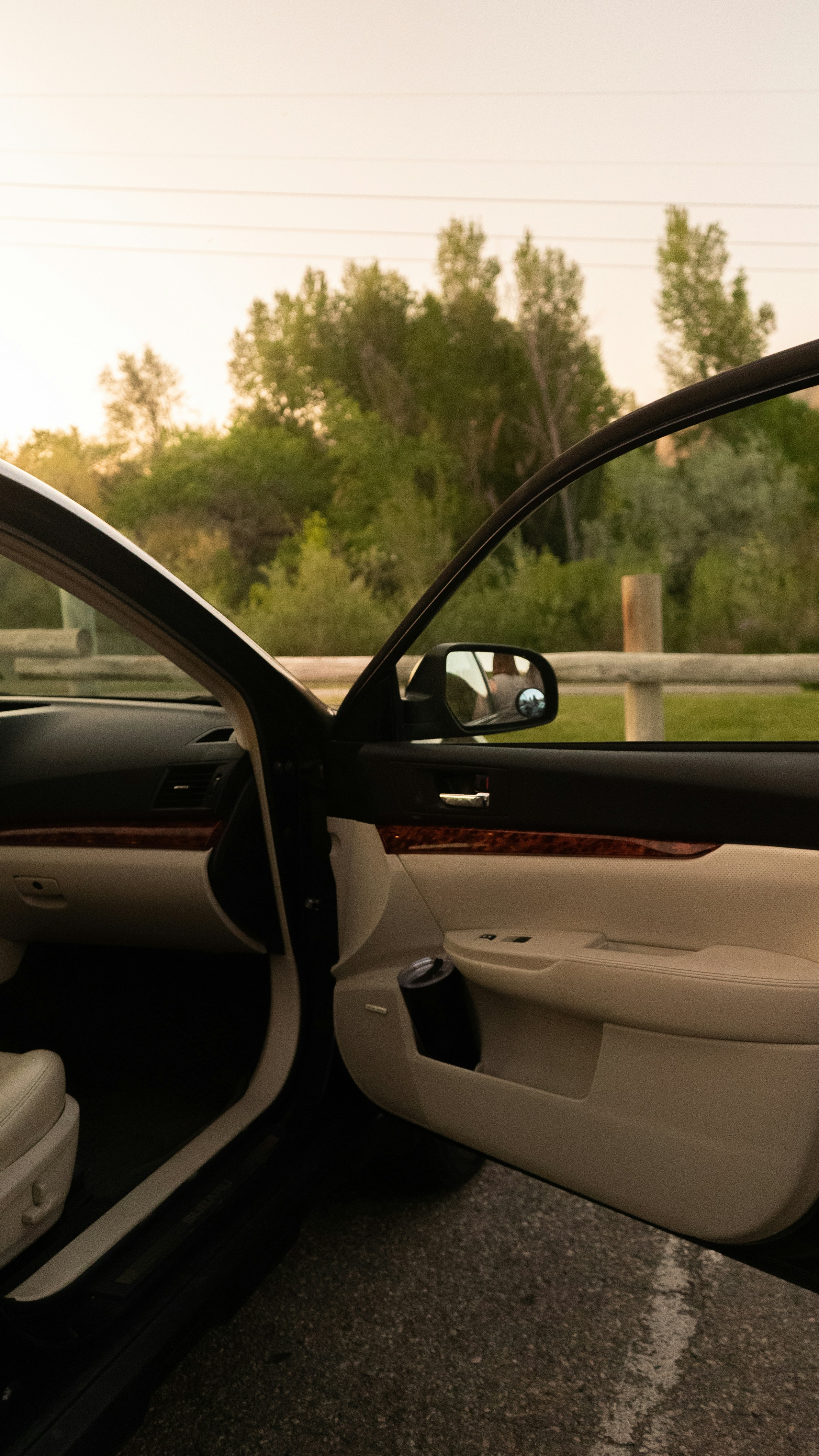 Professional Chauffeur